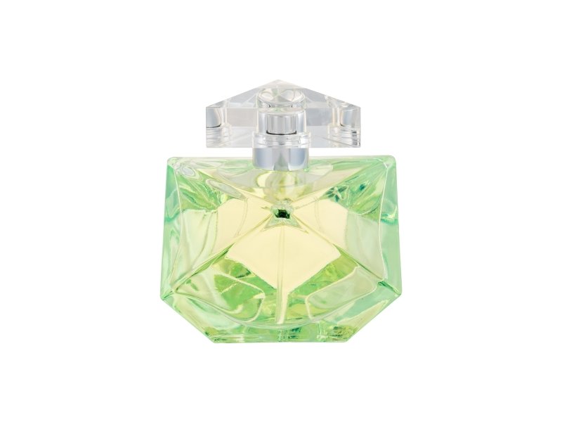 Britney Spears Believe For Women Eau De Parfum 100ML