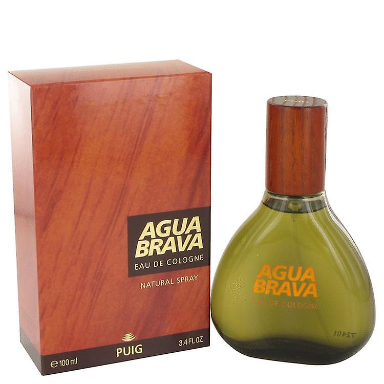 Antonio Puig Agua Brava - perfume for men, 100 ml - EDC Spray