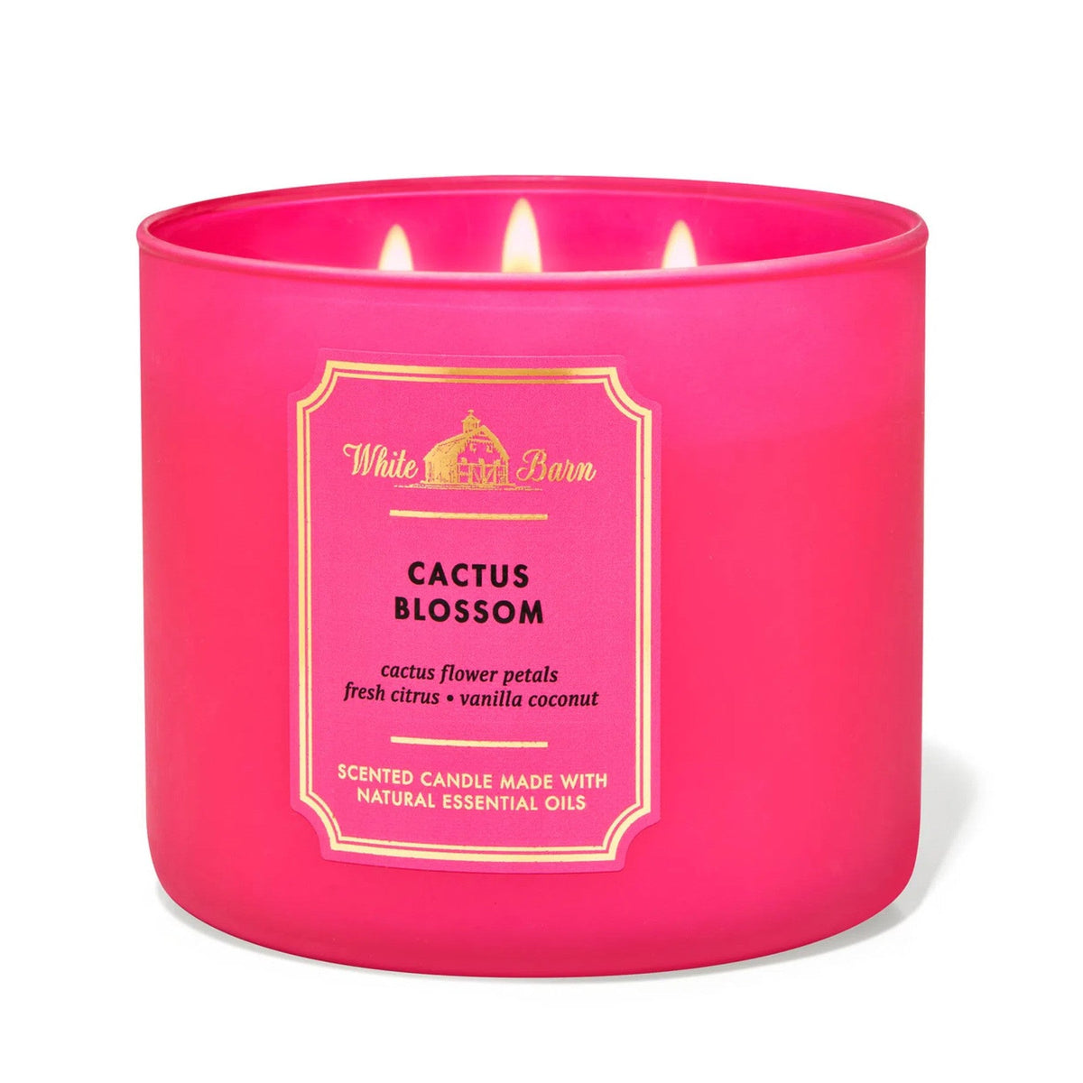 Bath & Body Works Cactus Blossom Scented Candle