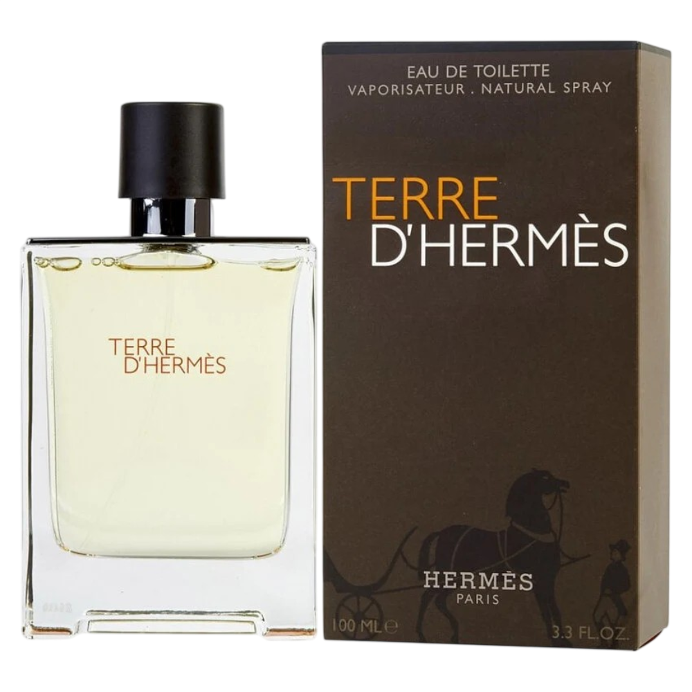 Hermes Terre D'Hermes Perfume For Men EDT 100ml