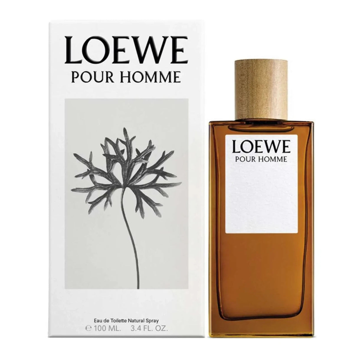 Loewe Pour Homme Perfume For Men EDT 100ml