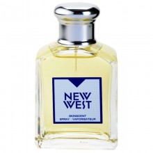 Aramis New West Skinscent Spray For Men 100ml
