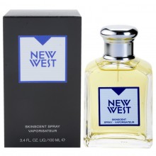 Aramis New West Skinscent Spray For Men 100ml