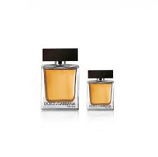 D&G the One Men Edt 100ml+30ml Spy Set