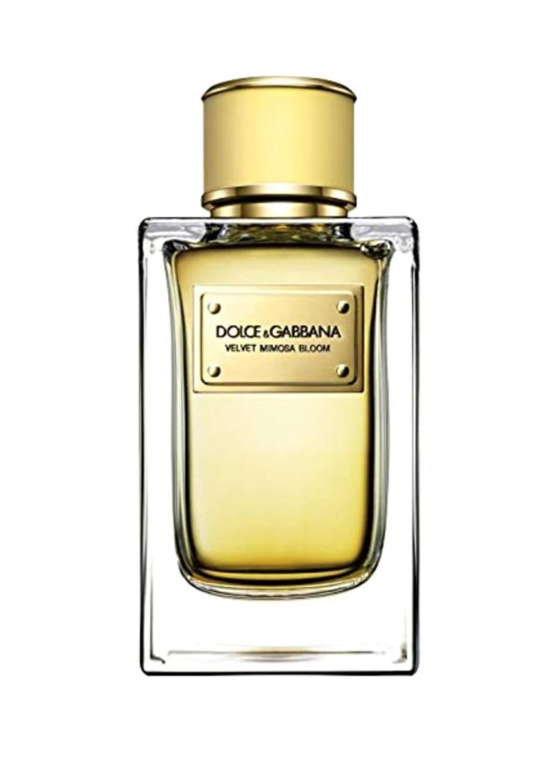 Dolce & Gabbana Velvet Mimosa Bloom Edp 50 ml