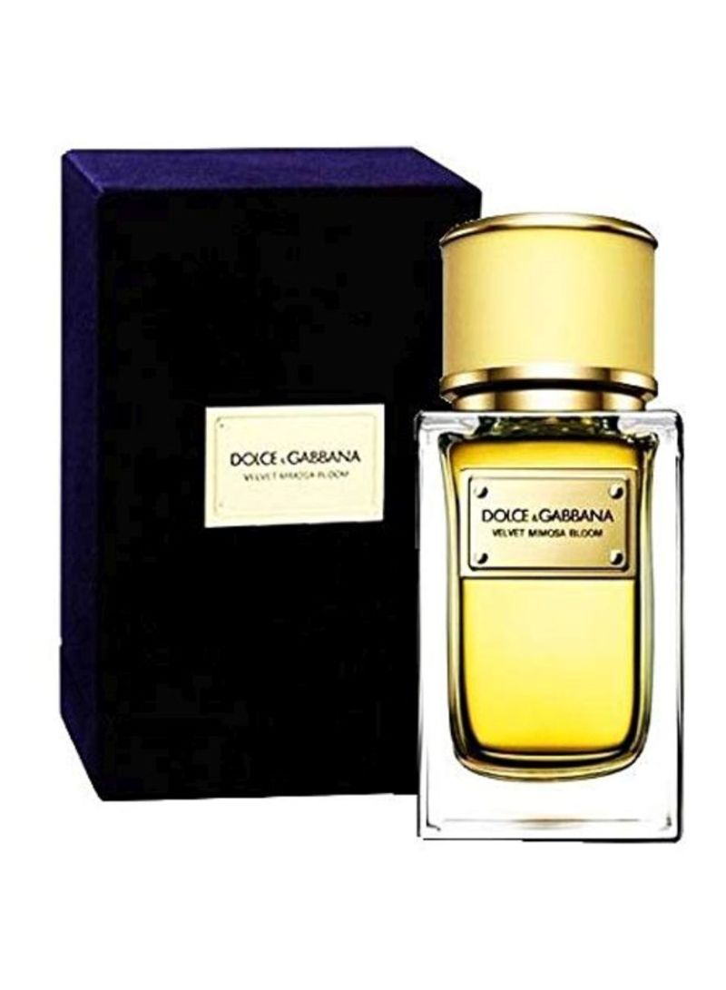 Dolce & Gabbana Velvet Mimosa Bloom Edp 50 ml