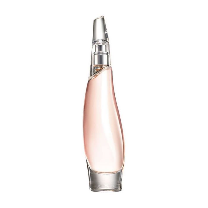 Liquid Cashmere by Donna Karan Eau De Parfum 100 ml For Women